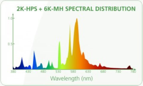 Spectral Distribution