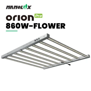 Orion Pro 860W-FLOWER