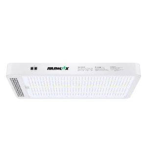 Nova Lite 500W/800W