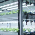 The Evolution of Horticultural Lighting: Navigating the “Three Eras” of Supplemental Light