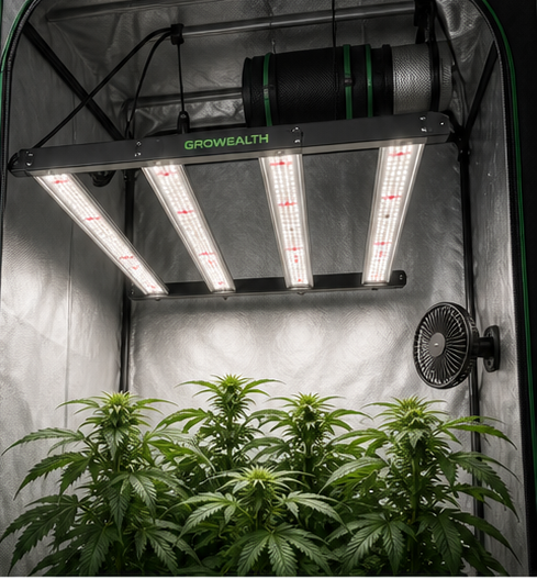 Growealth LED grow light in an indoor grow tent