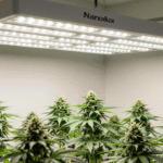 Unlock 30% More Yield with Commercial LED Grow Lights