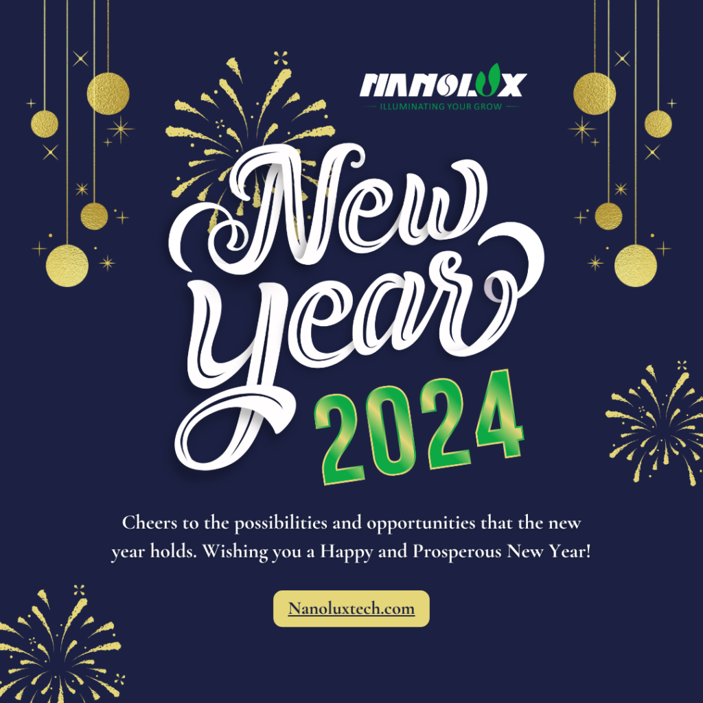 nanolux 2024 new year greeting